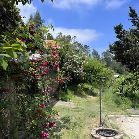 Quinta Cavadas Nyaraló