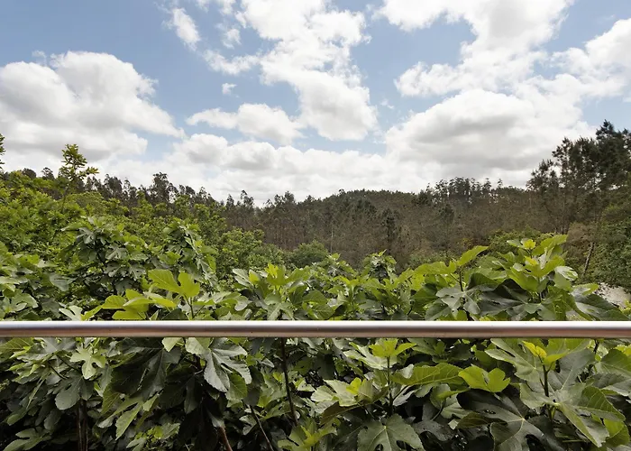 Feriehus Quinta Cavadas Canedo (Aveiro)